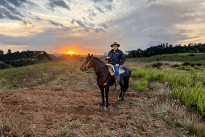 Entender o comportamento equino é essencial para identificar sinais de saúde e bem-estar, uma visão valorizada por Altevir Seidel.