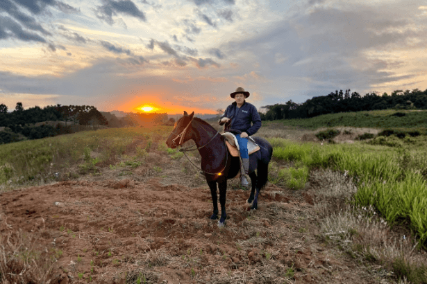 Entender o comportamento equino é essencial para identificar sinais de saúde e bem-estar, uma visão valorizada por Altevir Seidel.