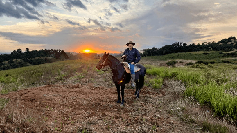Entender o comportamento equino é essencial para identificar sinais de saúde e bem-estar, uma visão valorizada por Altevir Seidel.
